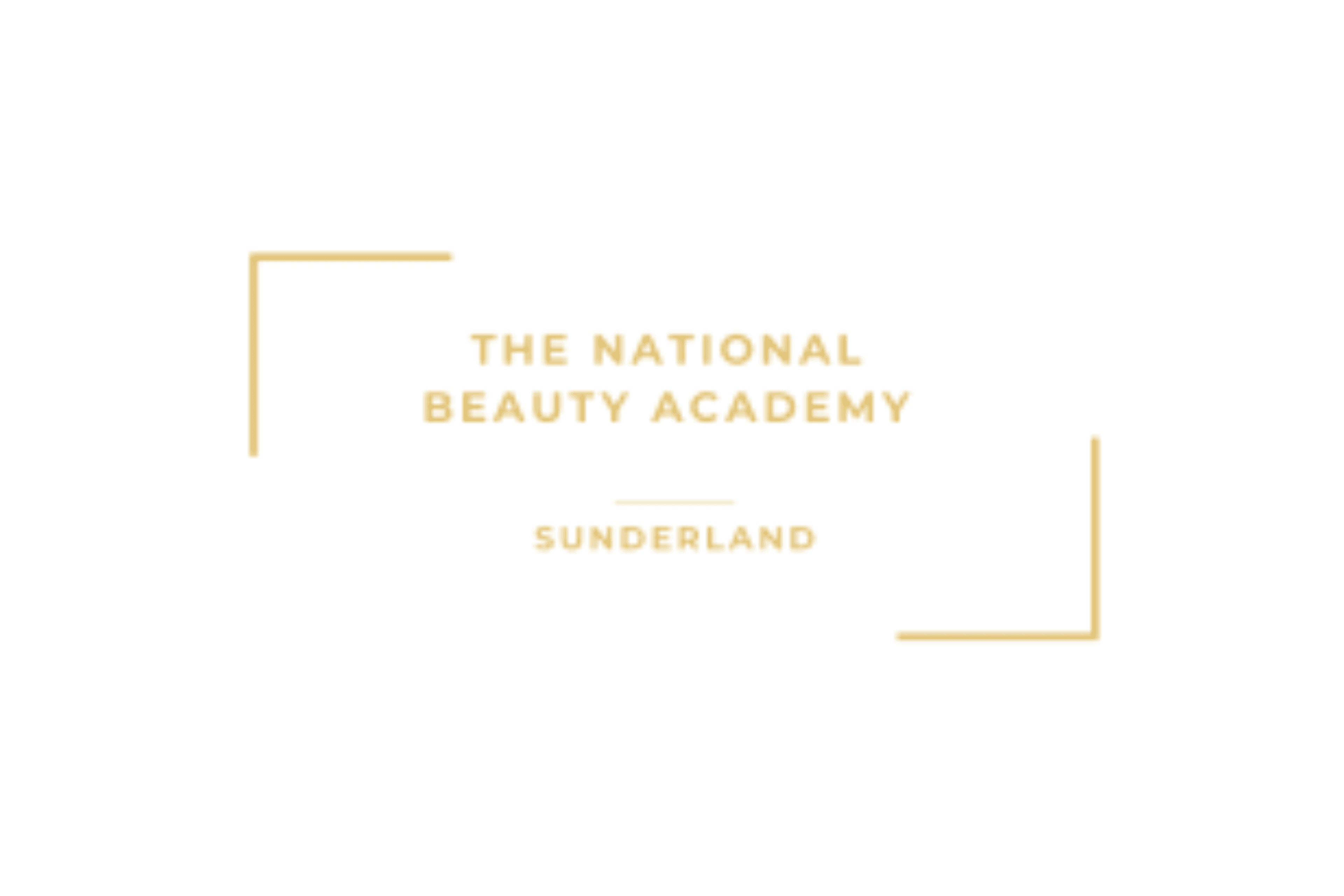 National Beauty Academy Logo